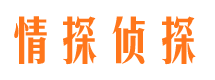 顺庆侦探公司